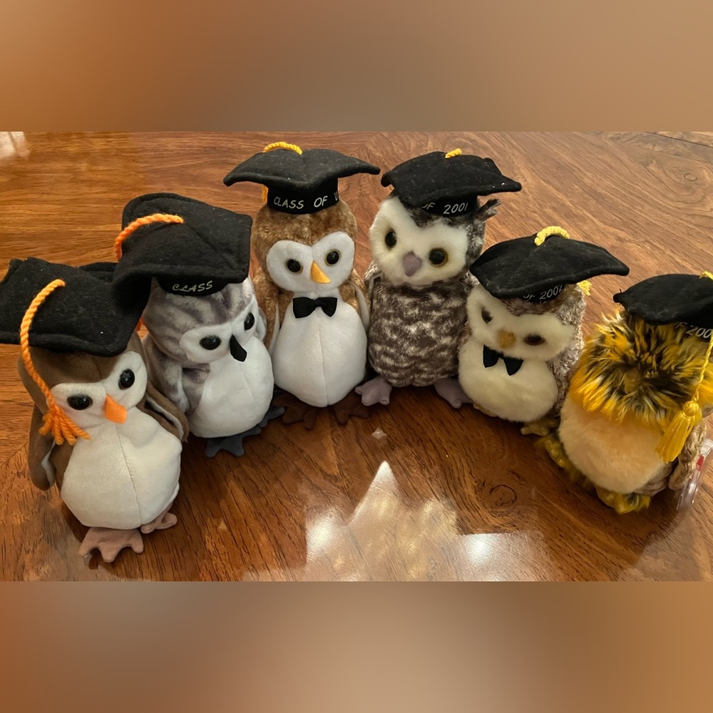 Lot of 6 graduation owls Ty Beanie Babies. Pet free and smoke free home. - Picture 8 of 8